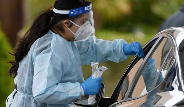 coronavirus, OMS, pandemia