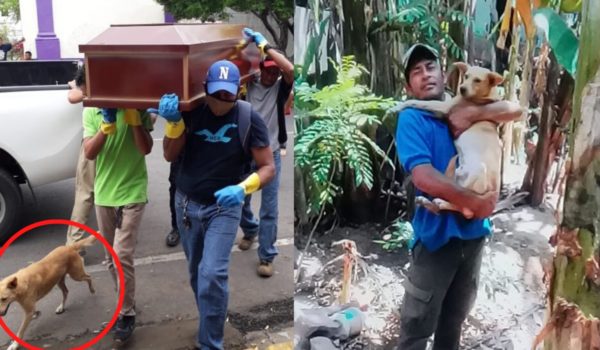 La historia de Chito, el perro que siguió el féretro de su dueño hasta el cementerio