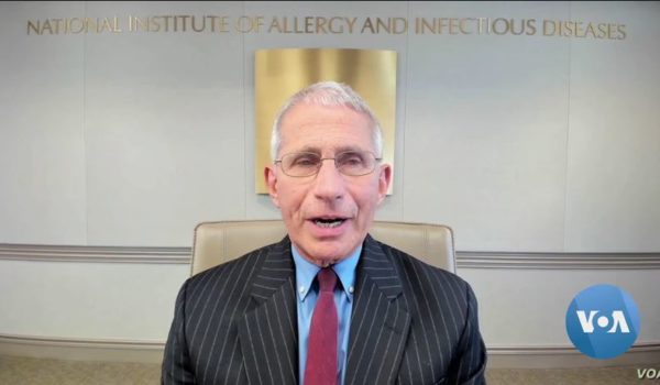 Antoni Fauchi, Estados Unidos