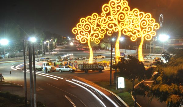 Rosario Murillo confirma la instalación de 16 arboles de latas en Managua