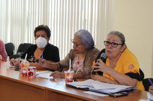 Comisiones permanentes, Asamblea Nacional, PLC, FSLN, pacto