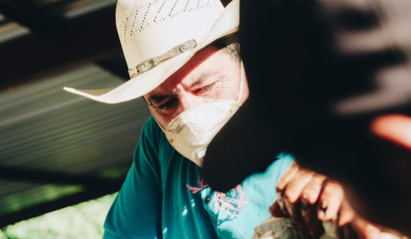 Productores de café recibirán ayuda para prevenir el coronavirus