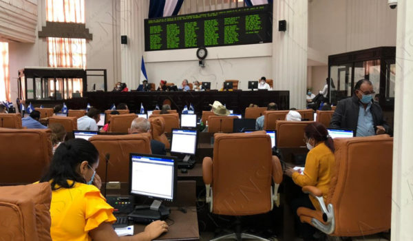 coronarivus. Asamblea Nacional, diputados, hospital, préstamo