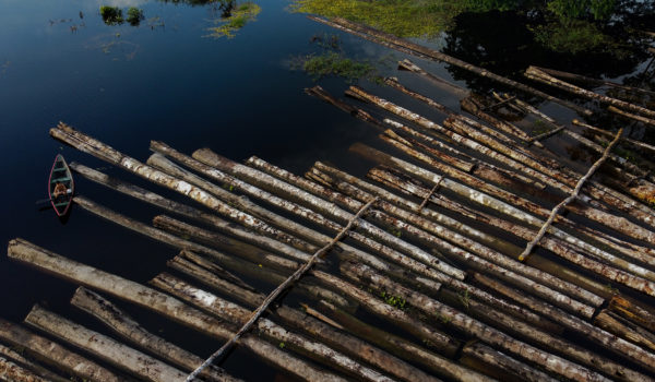 Brasil deforestó más de 1,600 kilómetros cuadrados en la Amozonía durante el mes de julio
