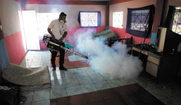 El Minsa ha ejecutado campañas de fumigación y erradicación de criaderos de zancudos para evitar más casos de zika, dengue y chikungunya en el país. LA PRENSA/ ARCHIVO