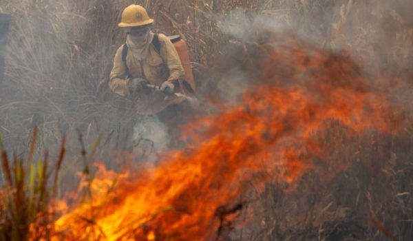 Incendios en América Latina: la catástrofe natural que está afectando a gran parte del continente americano