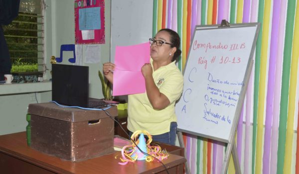 clases en línea