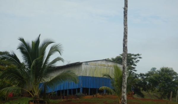 reserva indio maíz
