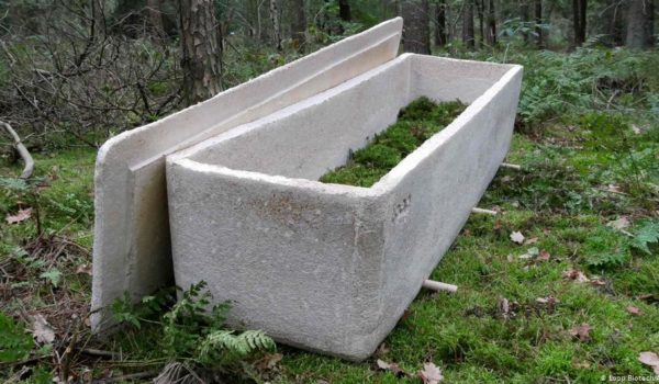 Un ataúd viviente para los muertos: féretro a base de hongos convierte cuerpos en abono