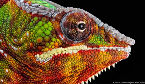 Cómo los colores nos influyen