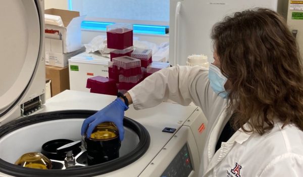 Coronavirus: cómo una universidad de EE.UU. previno un brote a partir de las heces de los estudiantes