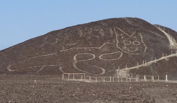 Pampas de Nasca: el geoglifo de un felino de hace más de 2,000 años de antigüedad descubierto en Perú