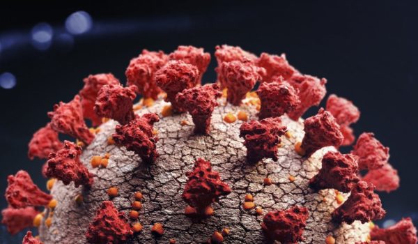 Reinfección de covid-19: un hombre se contagia dos veces y la segunda infección es «más severa»