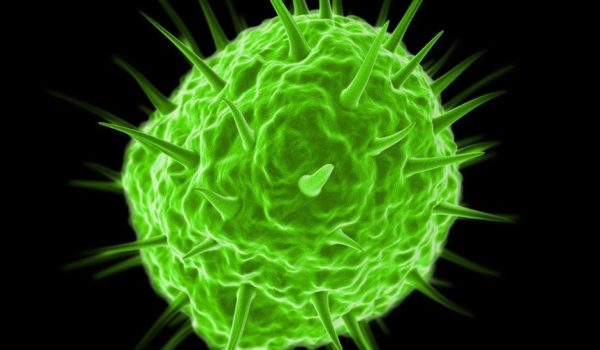 Qué son los pandoravirus y por qué algunos científicos dudan de que en realidad sean virus