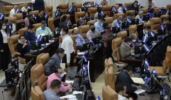 diputados