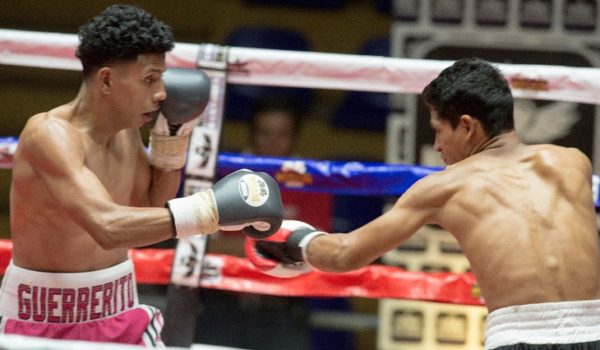 El boxeador Jerson Ortiz ha sido librado de culpa por la familia de un hombre ultimado a tiros el pasado domingo. La Prensa/ Cortesia