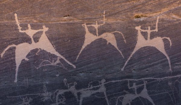 El hallazgo en Sudamérica que desbanca el mito de que los hombres eran quienes cazaban a los grandes animales en la prehistoria