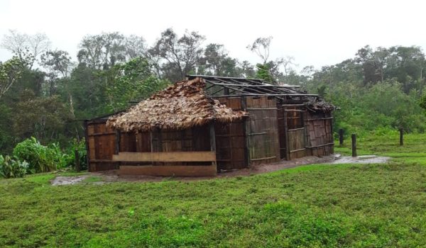 Comunidad de Amak, en el territorio Mayangna Sauni Bu, en la Reserva de Bosawas. LA PRENSA / CORTESÍA