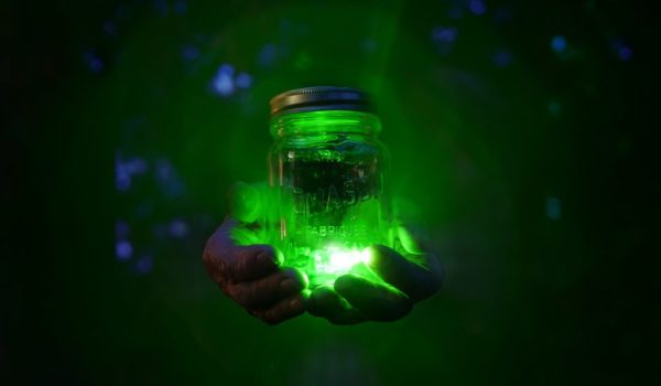 Memoria cuántica: el experimento científico que logró atrapar y transportar partículas de luz (y por qué es importante para el futuro de la tecnología)