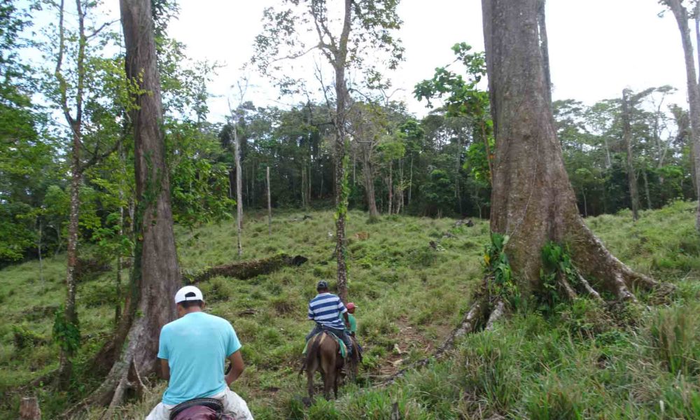 Comunidades mayangnas de Bosawas, en Nicaragua. LA PRENSA / CORTESÍA