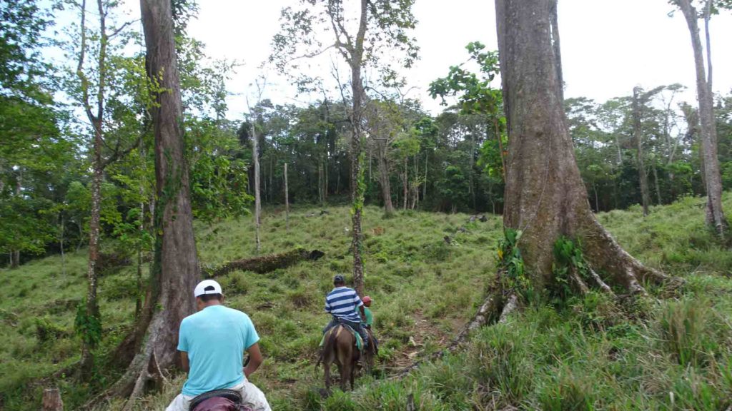 Comunidades mayangnas de Bosawas, en Nicaragua. LA PRENSA / CORTESÍA