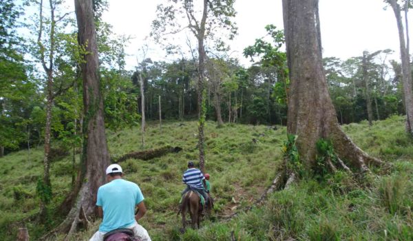 Comunidades mayangnas de Bosawas, en Nicaragua. LA PRENSA / CORTESÍA