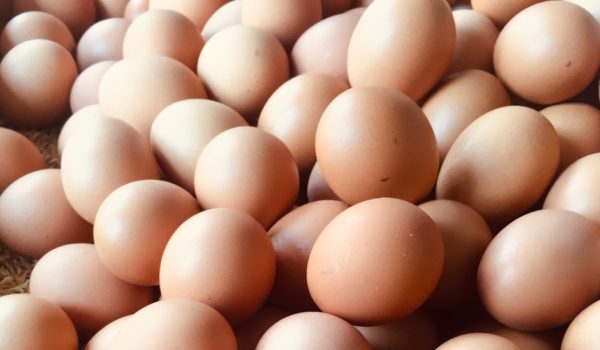 8 datos fascinantes sobre los huevos, uno de los alimentos más nutritivos del mundo