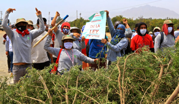 Muere trabajador rural en huelga laboral bajo nuevo gobierno de Perú