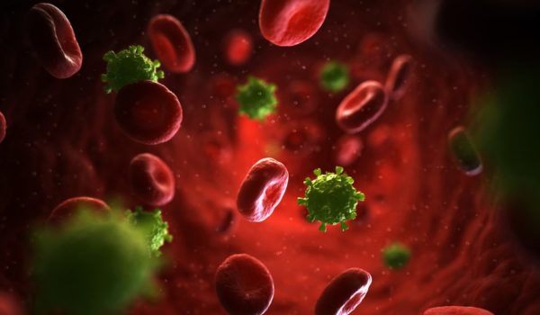 VIH/sida: qué le hace el virus de inmunodeficiencia humana al sistema inmunitario y por qué es tan difícil encontrar una cura o una vacuna