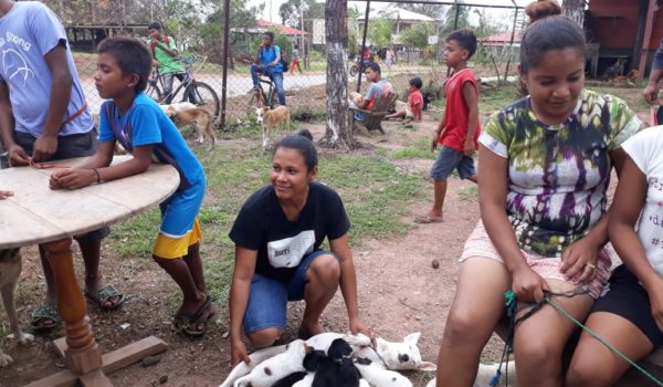 Las atenciones se han centrado más en perros, por la cantidad mayor que existe en esas localidades. LA PRENSA / CORTESÍA WAP
