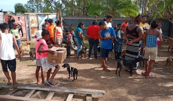 La brigada de veterinarios ha sido bien acogida por los pobladores de las comunidades del Caribe Norte. LA PRENSA / CORTESÍA WAP