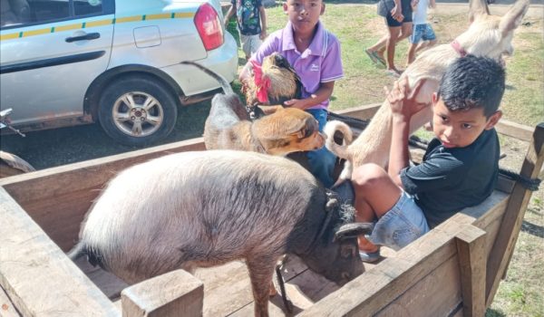 La brigada de veterinarios ha sido bien acogida por los pobladores de las comunidades del Caribe Norte. LA PRENSA / CORTESÍA WAP