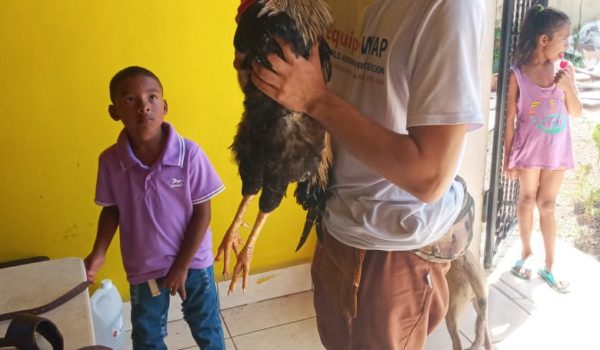Médicos veterinarios voluntarios de Managua, viajaron hasta Bilwi para brindar las atenciones. LA PRENSA / CORTESÍA WAP
