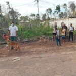 Atenciones veterinarias gratuitas en comunidades del Caribe Norte de Nicaragua por la brigada de médicos WAP. LA PRENSA / CORTESÍA WAP