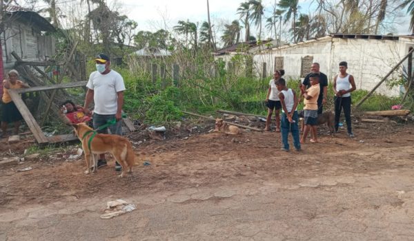 Atenciones veterinarias gratuitas en comunidades del Caribe Norte de Nicaragua por la brigada de médicos WAP. LA PRENSA / CORTESÍA WAP
