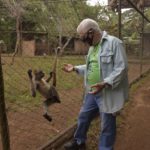 zoologico,