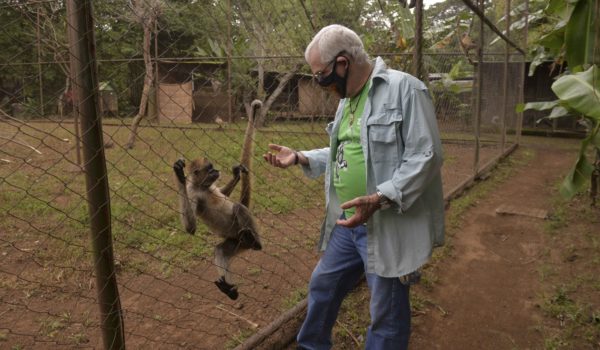zoologico,