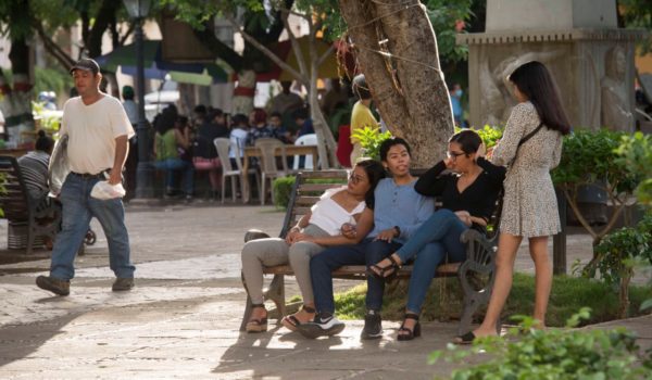 variantes, covid-19,