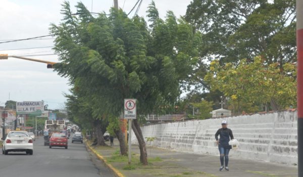Fuertes vientos en el Centro y el Pacífico de Nicaragua continuarán hasta mediados de febrero