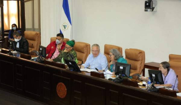 Asamblea Nacional, Código Procesal Penal, detención, cárcel por tres meses, Nicaragua, represión