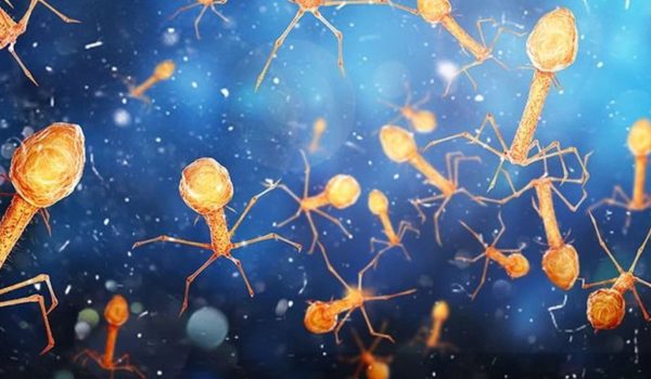 Los billones de virus que viven en tu cuerpo y ayudan a mantenerte vivo