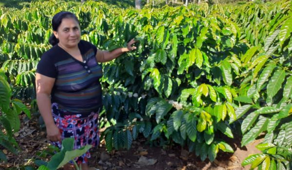 Equidad de Género en Nestlé