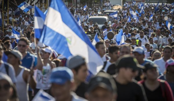 Más de 90 organizaciones opositoras hacen vehemente llamado a la OEA para garantizar elecciones libres