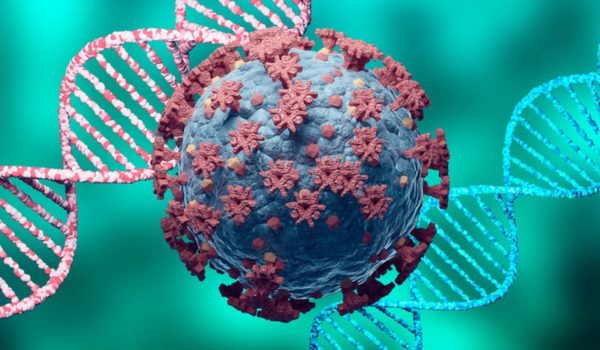 Variante brasileña de coronavirus: qué se sabe de la P.1