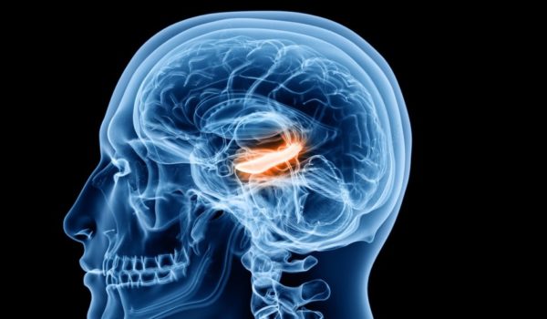Qué son las «células del tiempo», la clave para ordenar nuestros recuerdos detectadas por primera vez en humanos