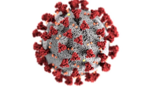 Coronavirus: qué se sabe de la variante de «doble mutación» encontrada en India