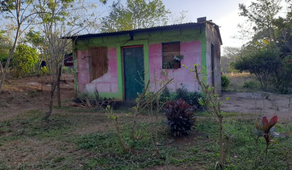 Esta es la casa donde ocurrió el crimen donde perdió la vida Humberto Selva Munguia a manos de su pareja Marlene Hernández. LA PRENSA/Ernesto García