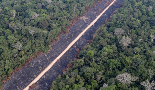 Brasil recorta su presupuesto ambiental a pesar de las promesas hechas en la cumbre sobre el clima