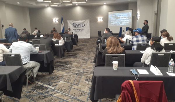Diáspora nicaragüense en EE. UU. acuerda trabajo conjunto para contribuir a la superación de la crisis de Nicaragua