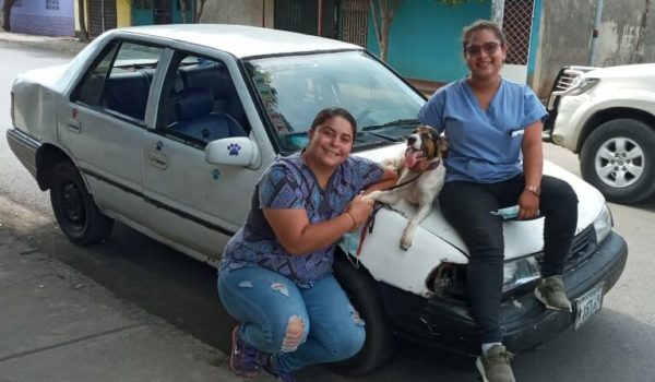 Pelutaxi Peluditos